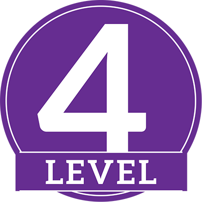 Level 4